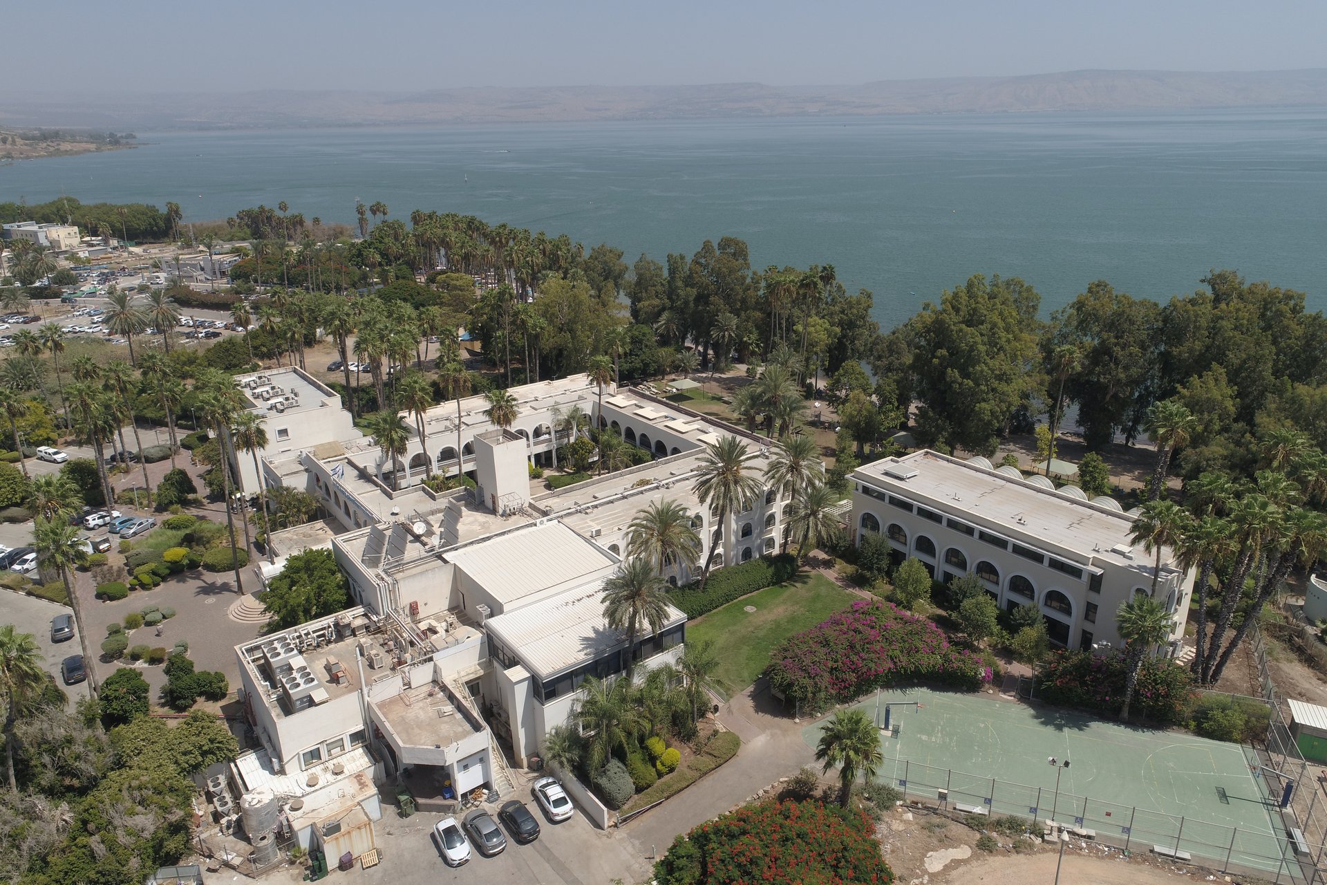 גג האכסניה פרט