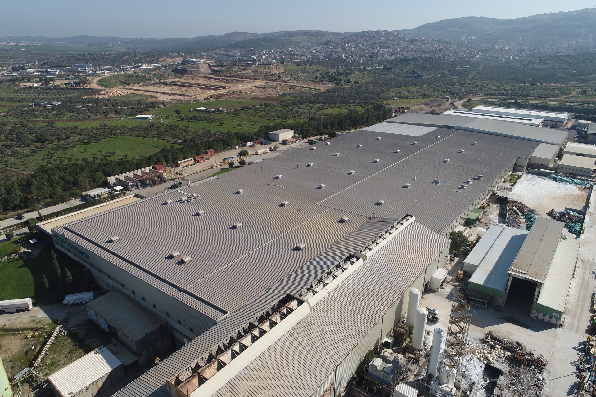 גג פניציה אלכסון